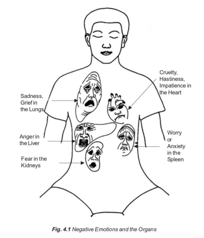 Les émotions négatives accumulées dans les organes.