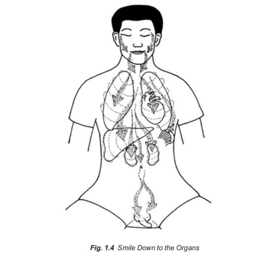 Le sourire intérieur consiste à sourire à ses organes afin de se libérer des émotions négatives.